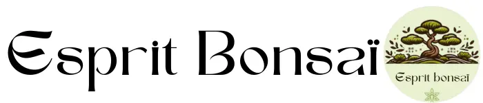 Logo esprit bonsaï